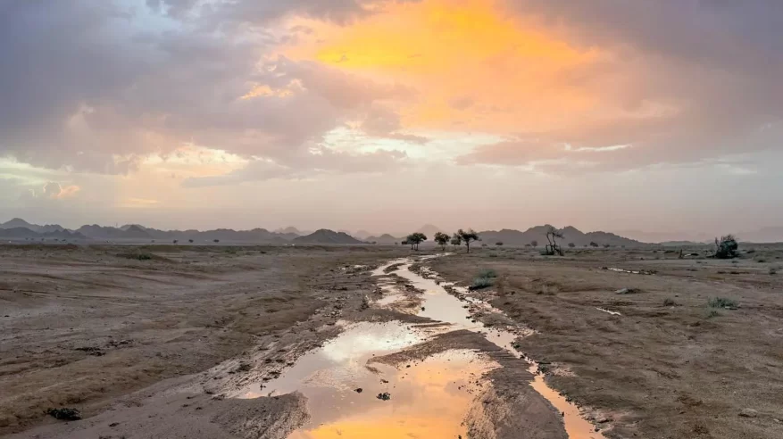 لقطات لأمطار حائل اليوم 