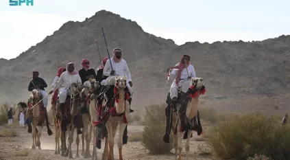 الهجانة يحيون تقاليد العيد في بادية تبوك على أنغام الهجيني