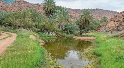 تنوع بيئي مميز و فريد تقدمها جبال أجا وسلمى للمتنزهين في حائل