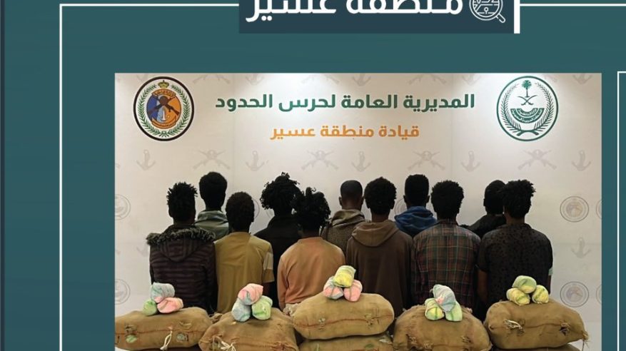 القبض على 11 مخالفًا لتهريبهم 165 كيلو قات في عسير