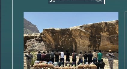 القبض على 26 مخالفًا لتهريبهم 520 كيلو قات في عسير