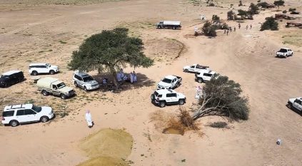 سقوط أشجار بسبب سيول ورياح حائل وفرق الغطاء النباتي تباشر