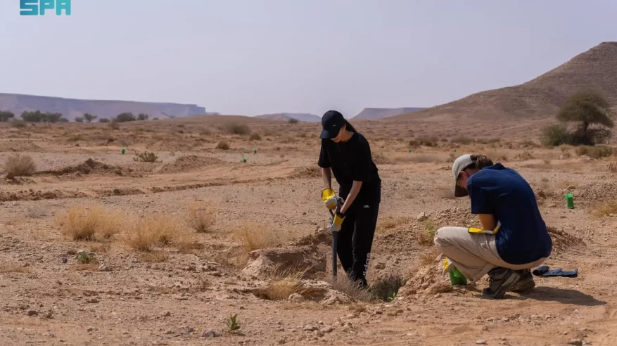 إنجاز بيئي.. زراعة 31 مليون شجرة في الشرقية