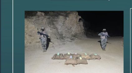 إحباط تهريب 140 كيلو قات في جازان