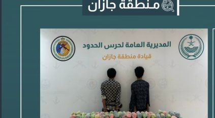 القبض على مخالِفَين لتهريبهما 280 كيلو قات في جازان