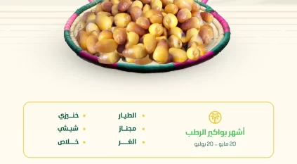 بواكير الرطب الحساوي تبشر بإنتاج وفير والأسواق تتهيأ لاستقبال أشهر أنواعه