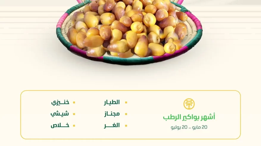 بواكير الرطب الحساوي تبشر بإنتاج وفير والأسواق تتهيأ لاستقبال أشهر أنواعه