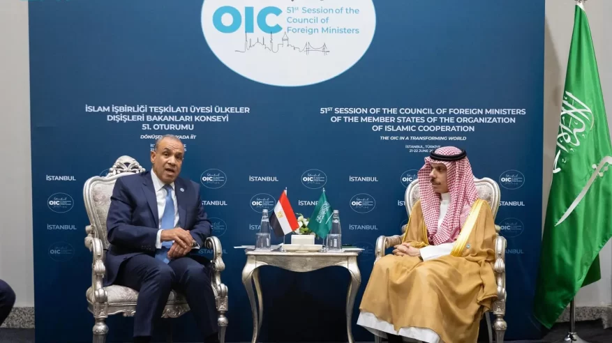 فيصل بن فرحان يبحث التطورات الإقليمية وتداعياتها مع نظيره المصري