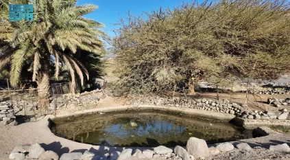عين شلال.. ذاكرة جريان وحياة لأهالي ومزارع العُلا
