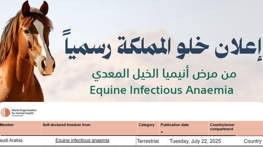 خلو السعودية رسميًا من مرض أنيميا الخيل المعدي