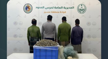 ضبط  4 مقيمين لصيد الأسماك بدون تصريح في عسير
