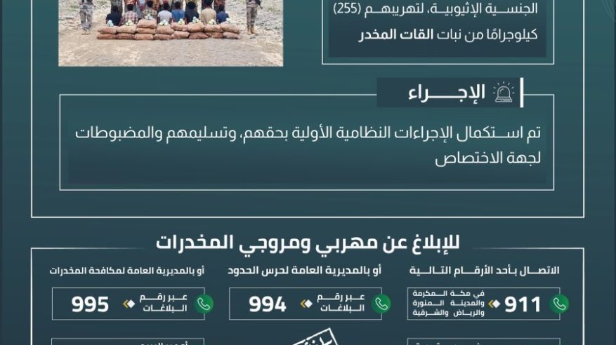 القبض على 17 مخالفًا لتهريبهم 255 كيلو قات في عسير