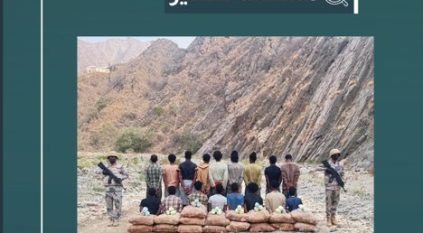 القبض على 17 مخالفًا لتهريبهم 255 كيلو قات في عسير