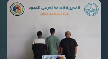 ضبط 3 مخالفين لصيد السمك بدون تصريح في جازان