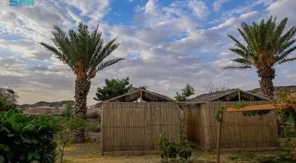 الزراعة في العقيق.. 1600 مزرعة نخيل ترفد السوق بـ40 طنًّا سنويًّا
