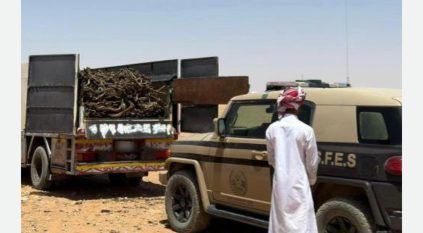 ضبط مواطن نقل حطبًا محليًّا في محمية الإمام تركي