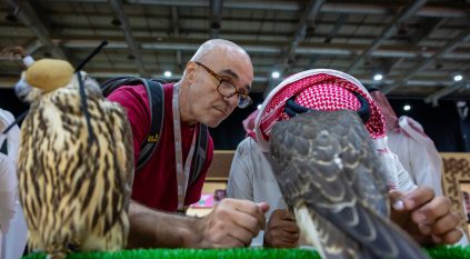 زوار ومشاركون خليجيون ودوليون في المزاد الدولي للصقور بالرياض وسط فرص استثمارية واعدة