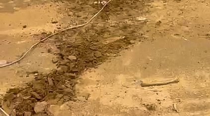مقيم يختلس كهرباء مسجد في جازان لتشغيل منزله بالكامل!