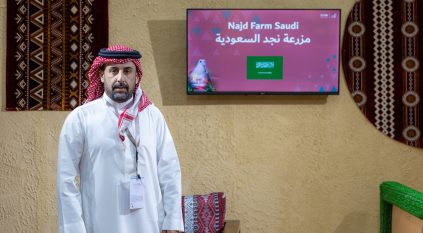 مزرعة سعودية تبيع كامل معروضها في المزاد الدولي لمزارع إنتاج الصقور 2025
