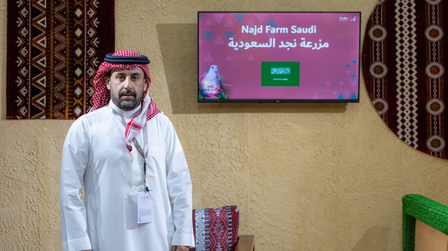 مزرعة سعودية تبيع كامل معروضها في المزاد الدولي لمزارع إنتاج الصقور 2025