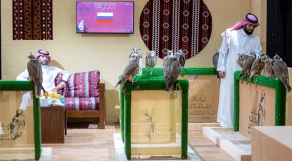 مزرعة آر يو في إس الروسية تسجل مشاركتها الأولى في المزاد الدولي لمزارع إنتاج الصقور 2025