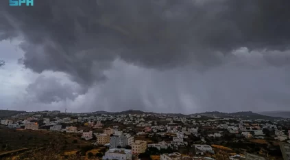 أجواء الباحة الممطرة والضبابية ترسم مشهدًا سياحيًا ساحرًا