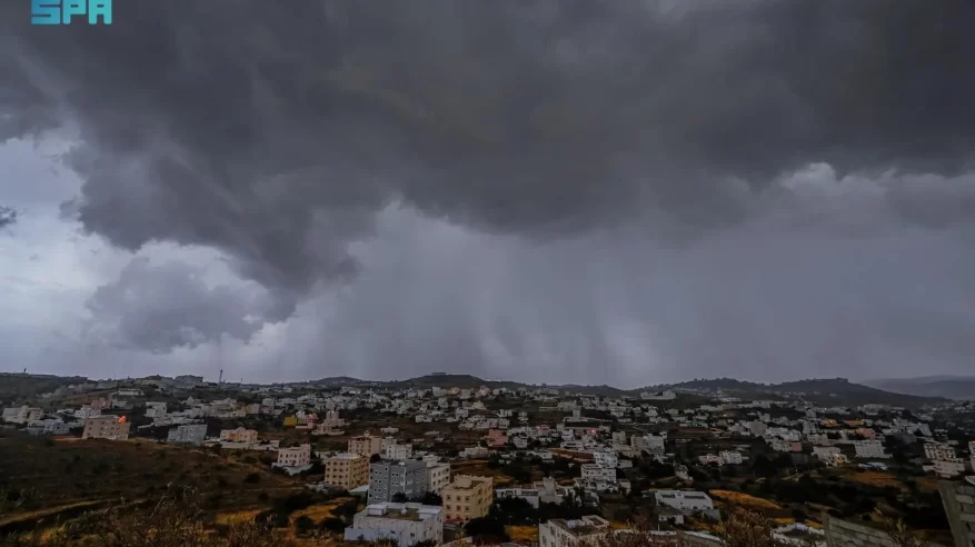 أجواء الباحة الممطرة والضبابية ترسم مشهدًا سياحيًا ساحرًا