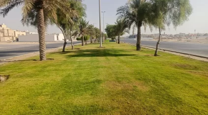 صيانة أكثر من 50 ألف متر من المساحات الخضراء في البيضاء