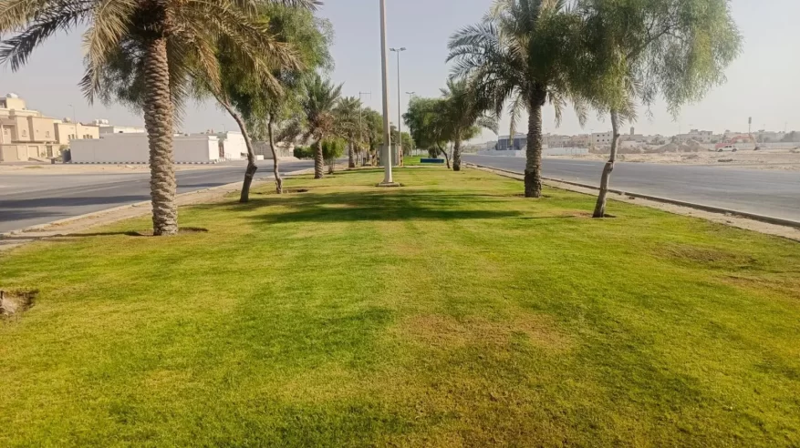 صيانة أكثر من 50 ألف متر من المساحات الخضراء في البيضاء