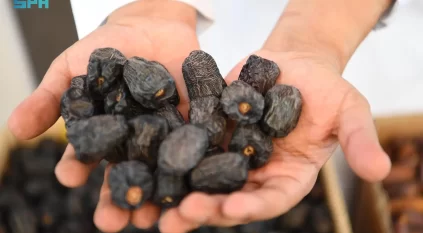 سوق التمور بالمدينة المنورة فرصة واعدة لرواد الأعمال من الشباب السعودي