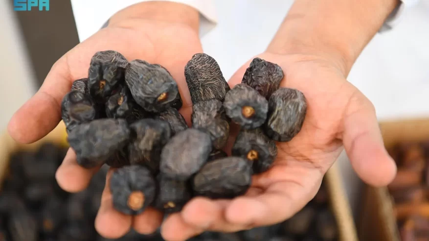سوق التمور بالمدينة المنورة فرصة واعدة لرواد الأعمال من الشباب السعودي