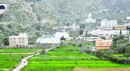 برنامج ريف: التسجيل مجاني وبدون رسوم