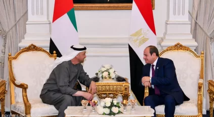 محمد بن زايد يصل القاهرة ويلتقي السيسي