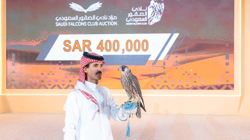 مزاد نادي الصقور السعودي.. مبيعات تتجاوز 41 مليون ريال في 5 أعوام