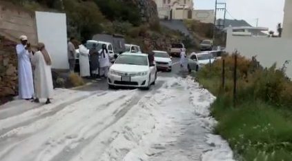 لقطات توثق بردية كثيفة غرب أبها