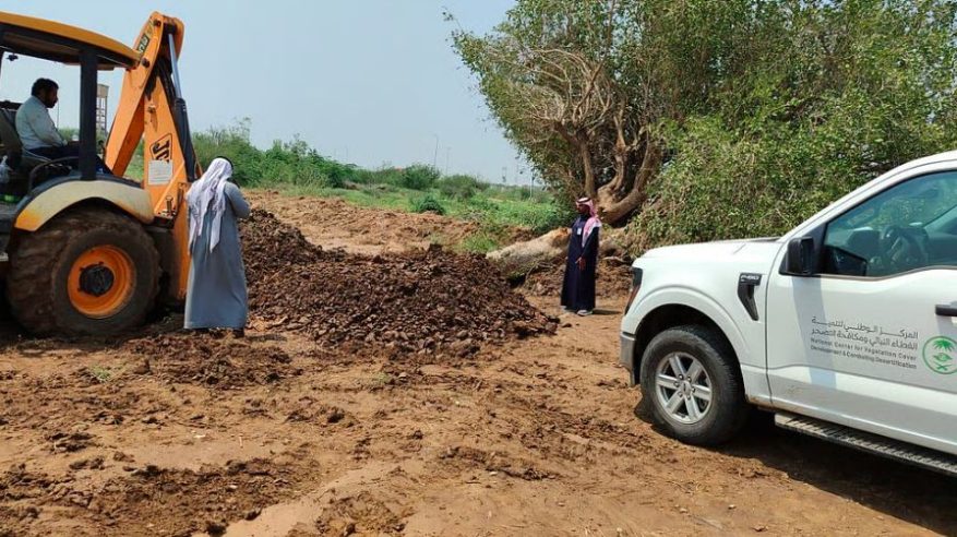 “الغطاء النباتي” ينقذ شجرة ضبر معمرة بجازان