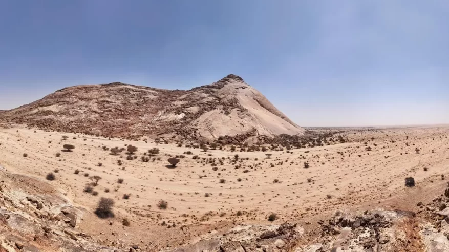الغطاء النباتي يدعو لإبداء الرغبات في الاستثمار بـ 13 متنزهًا بالرياض
