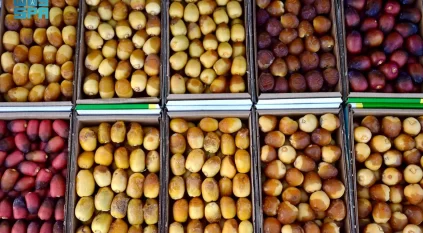 كرنفال بريدة يستقطب أندر أنواع التمور بالمنطقة