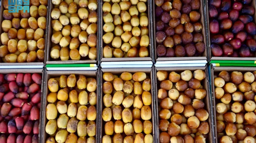 كرنفال بريدة يستقطب أندر أنواع التمور بالمنطقة