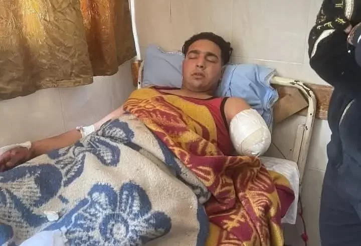 جديد ضحية الأسد الجائع في مصر