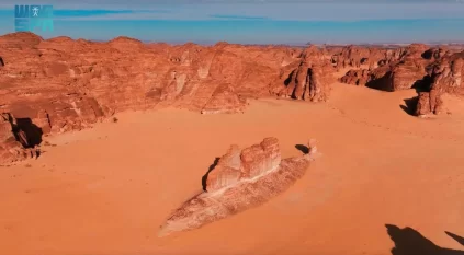 كيف استقرت سمكة في صحراء العُلا؟