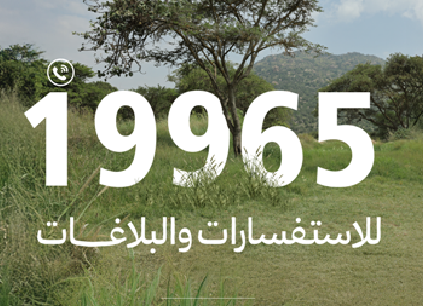الغطاء النباتي يطلق خدمات الرقم الموحد 19965