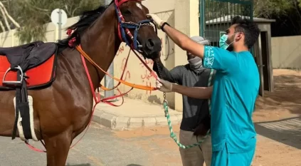 السعودية خالية رسميًا من مرض الرعام