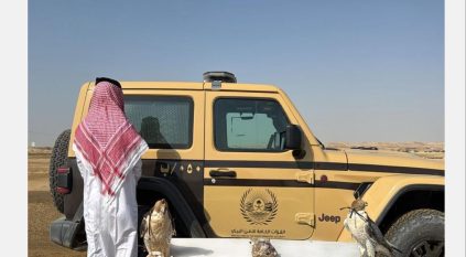 صيد دون ترخيص.. القبض على مواطن بحوزته صقرين وكروان بالمدينة المنورة