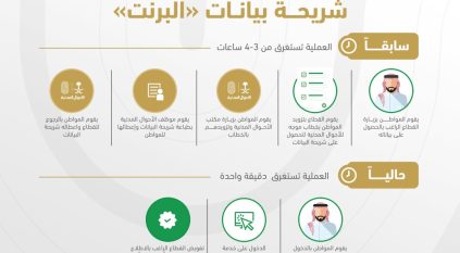 خطوات الحصول على شريحة بيانات البرنت في دقيقة واحدة