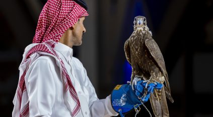 بيع أغلى صقر منغولي بـ 650 ألف ريال في معرض الصقور والصيد السعودي