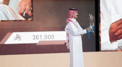 بيع أغلى شاهين فرخ حتى الآن في الليلة الـ 17 لمزاد نادي الصقور