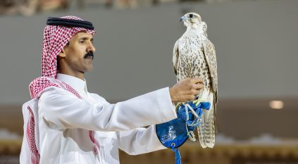 بيع صقرين بـ900 ألف ريال من منغوليا في معرض الصقور والصيد السعودي
