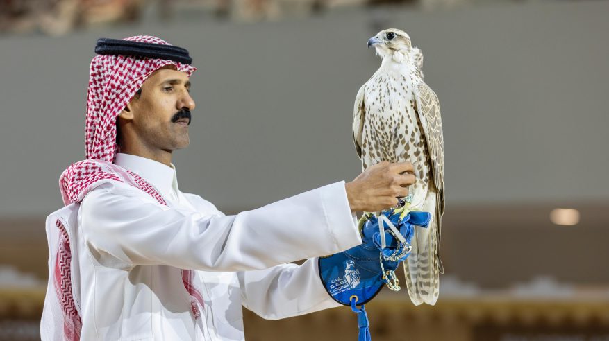 بيع صقرين بـ900 ألف ريال من منغوليا في معرض الصقور والصيد السعودي