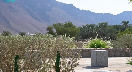 وادي قناة.. معلمٌ تاريخي وبيئي يعزز المشهد الحضري للمدينة المنورة